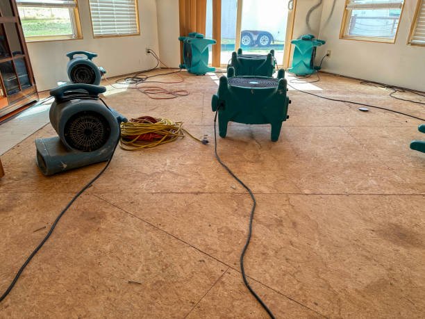 Flood Damage Cleaning